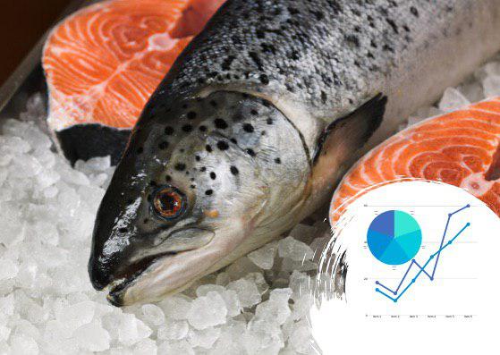 Аналіз ринку лососевих в Україні: фактори і прогнози ринку
